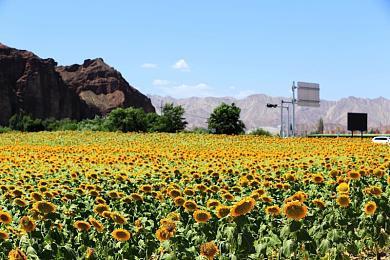 Xbox回应《辐射76》员工加班：那是过去 现在没加班了