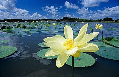 Steam在线人数峰值近2800万人 又要创造新纪录