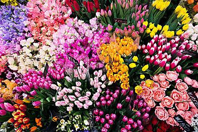 高能电玩节：《美国式家长》10月14日登陆Steam